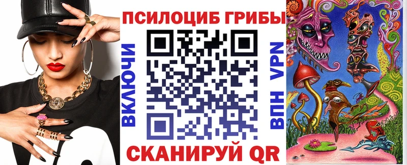 Псилоцибиновые грибы Psilocybe  Юрьевец 